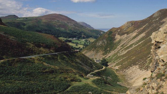 Sychnant Pass Road concerns grow after horse death on Sychnant Pass BBC News