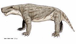 Sycosaurus httpsuploadwikimediaorgwikipediacommonsthu