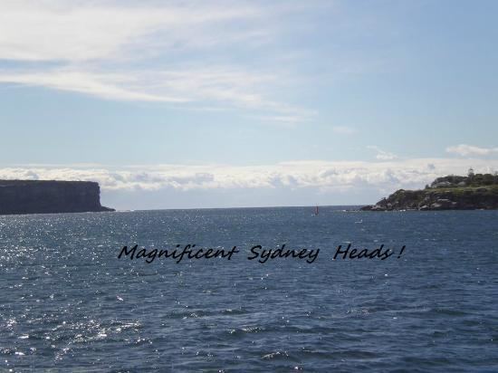 Sydney Heads Magnificent Sydney Heads 39gateway39 to Sydney Harbour Picture of