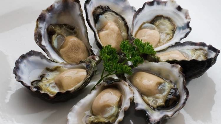 Sydney rock oyster Champion Tathra Oysters a natural superfood Bega District News