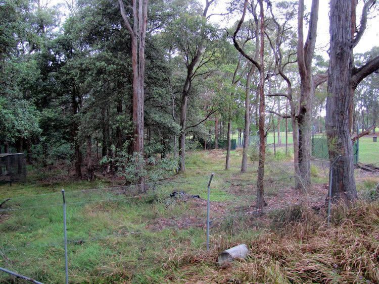 Sydney Turpentine-Ironbark Forest httpsemrprojectsfileswordpresscom201211re