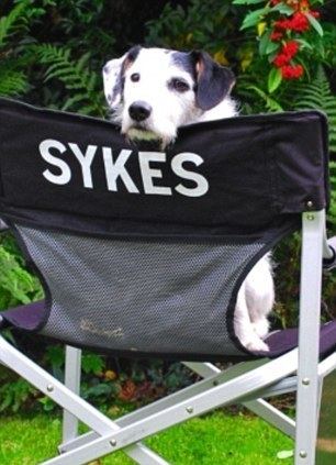 Sykes (dog) He39s starred with Johnny Depp and Charlize Theron no wonder Sykes