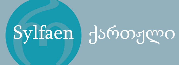 Sylfaen (typeface) Sylfaen Font Family Fontscom