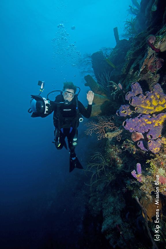 Sylvia Earle The Woman Who Has Spent Almost a Year of Her Life Underwater The