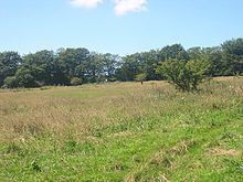 Sylvia's Meadow httpsuploadwikimediaorgwikipediacommonsthu
