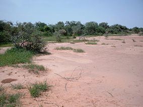 Sylvo-Pastoral and Partial Faunal Reserve of the Sahel httpsuploadwikimediaorgwikipediacommonsthu