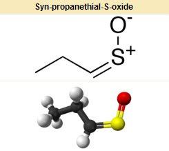 Syn-Propanethial-S-oxide Chemistry In My Daily Life No More Tears