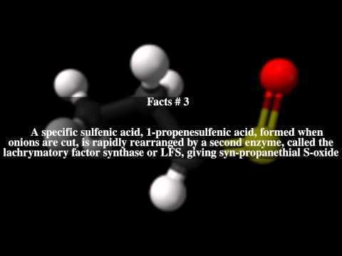 Syn-Propanethial-S-oxide SynPropanethialSoxide Top 5 Facts YouTube