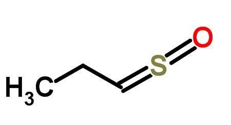 Syn-Propanethial-S-oxide propanethialSoxide UvaChemistry