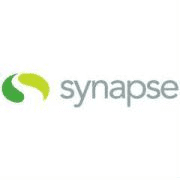 Synapse Group httpsmediaglassdoorcomsqll12285synapsegro
