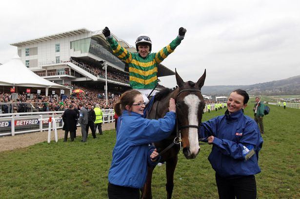 Synchronised (horse) Synchronised killed at Grand National 2012 Gold Cup winner put