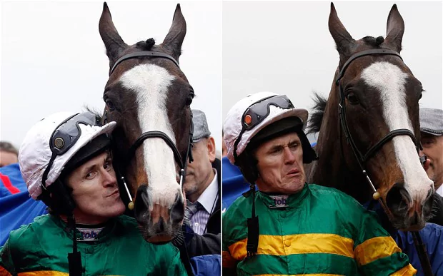 Synchronised (horse) Grand National 2012 champion jockey AP McCoy 39devastated39 at loss