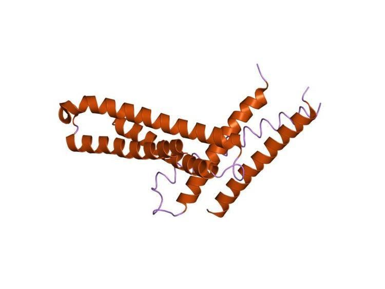 Syntaxin 6 N terminal protein domain