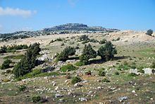 Syrian Coastal Mountain Range httpsuploadwikimediaorgwikipediacommonsthu