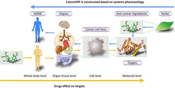 Systems pharmacology CancerHSP anticancer herbs database of systems pharmacology