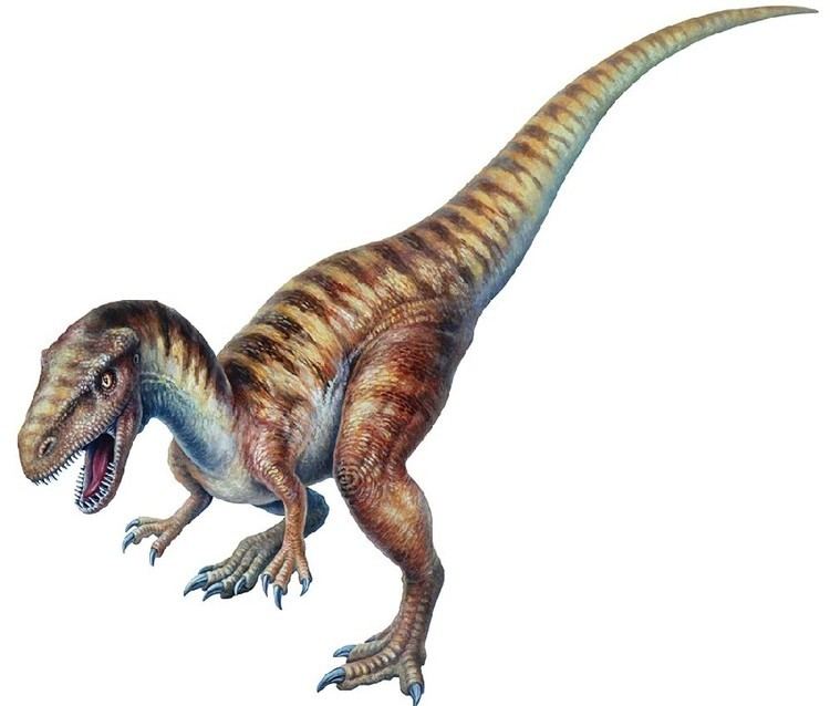 Szechuanosaurus Szechuanosaurus Pictures Facts The Dinosaur Database