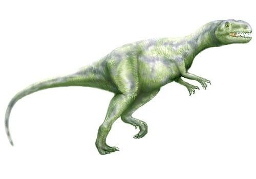 Szechuanosaurus Szechuanosaurus Pictures Facts The Dinosaur Database