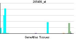 T-cell surface glycoprotein CD3 epsilon chain
