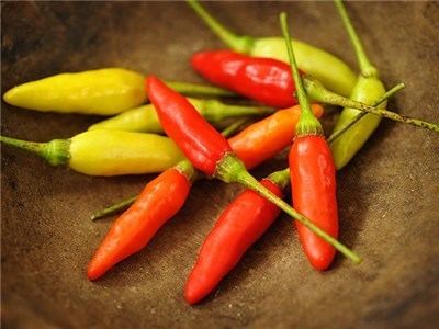 Tabasco pepper Tabasco Pepper Seeds Baker Creek Heirloom Seeds