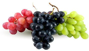 Table grape wwwtopbrassmarketingcomwpcontentthemestopbra