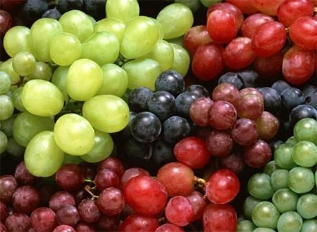 Table grape FreshPlaza Global Fresh Produce and Banana News