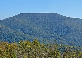 Table Mountain (New York) httpsuploadwikimediaorgwikipediacommonsthu