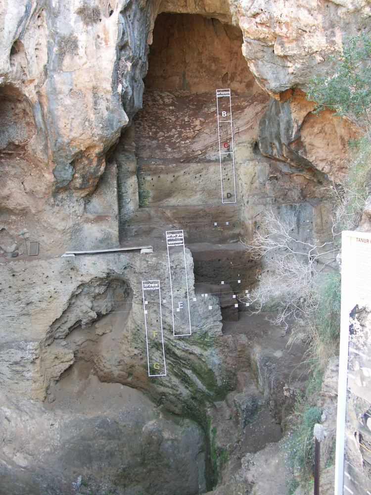 Tabun Cave FileTabun Cave sectionjpg Wikimedia Commons
