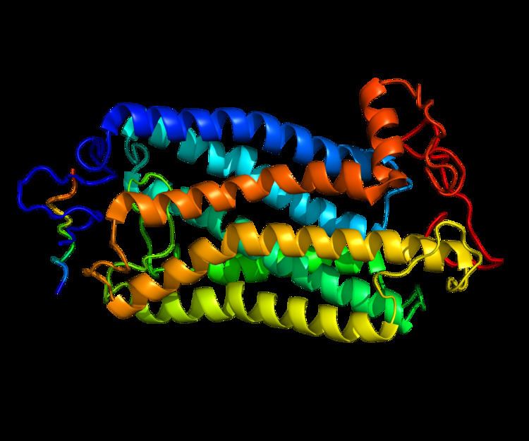 Tachykinin receptor 1