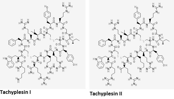 Tachyplesin