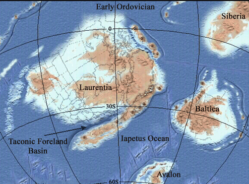 Taconic orogeny Tectonic Setting