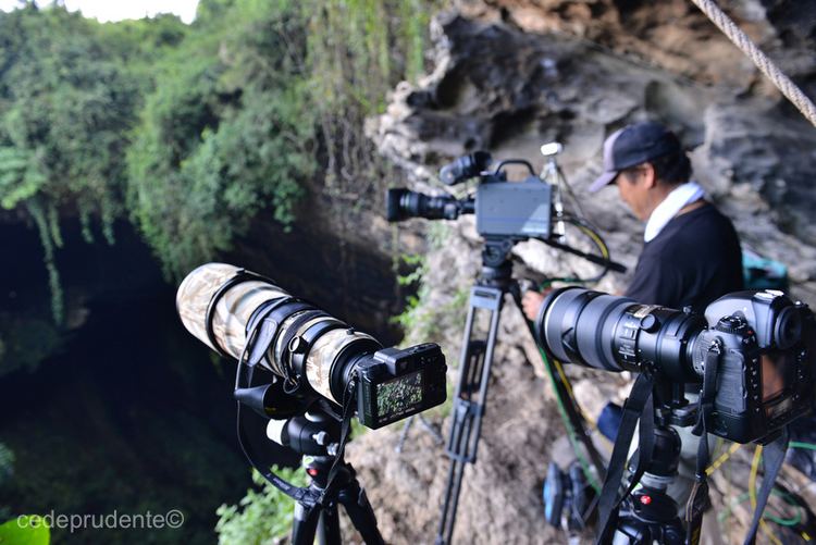 Tadashi Shimada Tadashi Shimada and NHKs Wildlife Films in Sabah Borneo Borneo