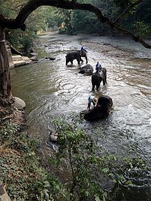 Taeng River httpsuploadwikimediaorgwikipediacommonsthu