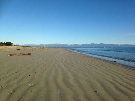 Tahunanui Beach httpsmediacdntripadvisorcommediaphotos0b