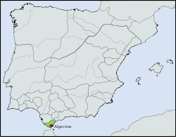 Taifa of Algeciras httpsd1k5w7mbrh6vq5cloudfrontnetimagescache