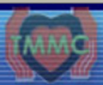 Tairunnessa Memorial Medical College wwweduiconcomadminimagesInstitute4170Instit