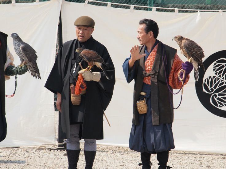 Takagari 1000 images about Falconry on Pinterest Raptors Sports and