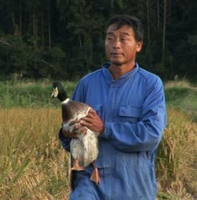 Takao Furuno LeJaponorg Takao Furuno Pionnier japonais du riz biologique
