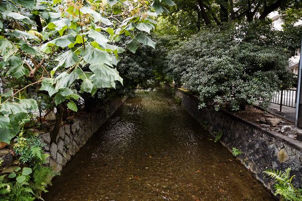 Takase River Takase River Walk like a fish in water