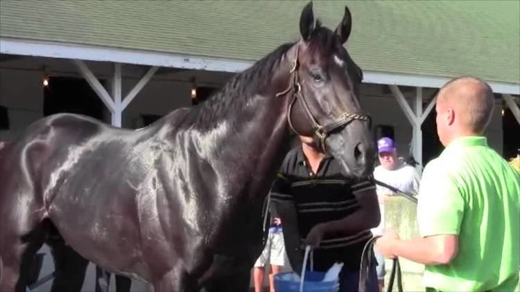 Take Charge Indy ClaireCam Take Charge Indy Gets A Bath YouTube