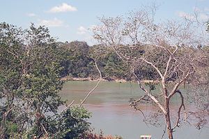 Takutu River httpsuploadwikimediaorgwikipediacommonsthu