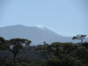 Talamancan montane forests httpsuploadwikimediaorgwikipediacommonsthu