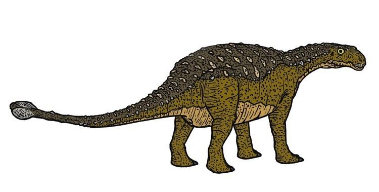 Talarurus Talarurus Dinosaur of the Cretaceous