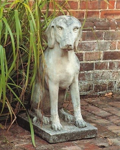 Talbot (dog) Talbot Dog