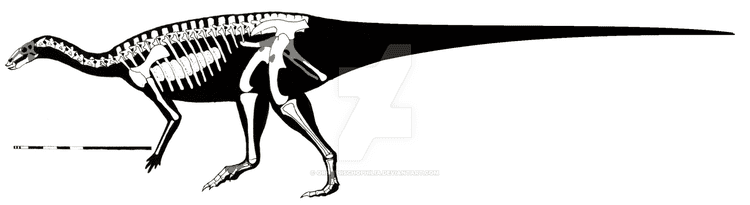Talenkauen Talenkauen santacrucensis skeletal restoration by ornithischophilia