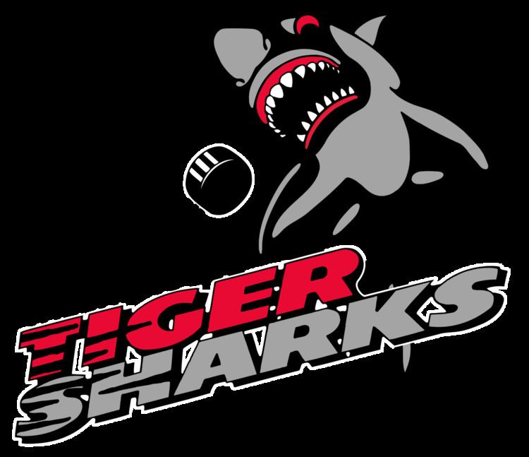 Tallahassee Tiger Sharks httpsuploadwikimediaorgwikipediaenthumb3