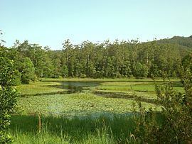 Tallebudgera Valley, Queensland httpsuploadwikimediaorgwikipediacommonsthu