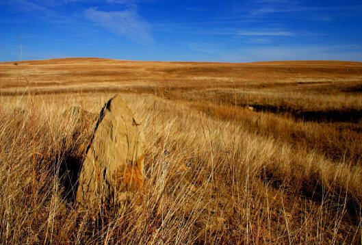 Tallgrass prairie A Guide to Birding in Oklahoma Tallgrass Prairie Preserve