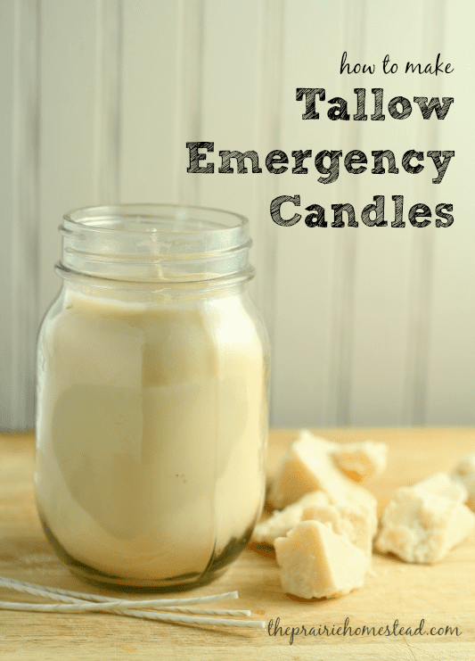 Tallow How to Make Tallow Candles The Prairie Homestead