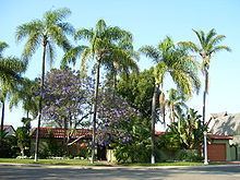 Talmadge, San Diego httpsuploadwikimediaorgwikipediacommonsthu