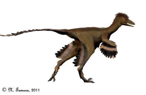 Talos (dinosaur) Paleoexhibit Talos sampsoni a new troodontid from Utah